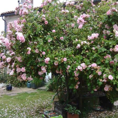 La Rosaliere Bed & Breakfast Chabournay Exterior foto